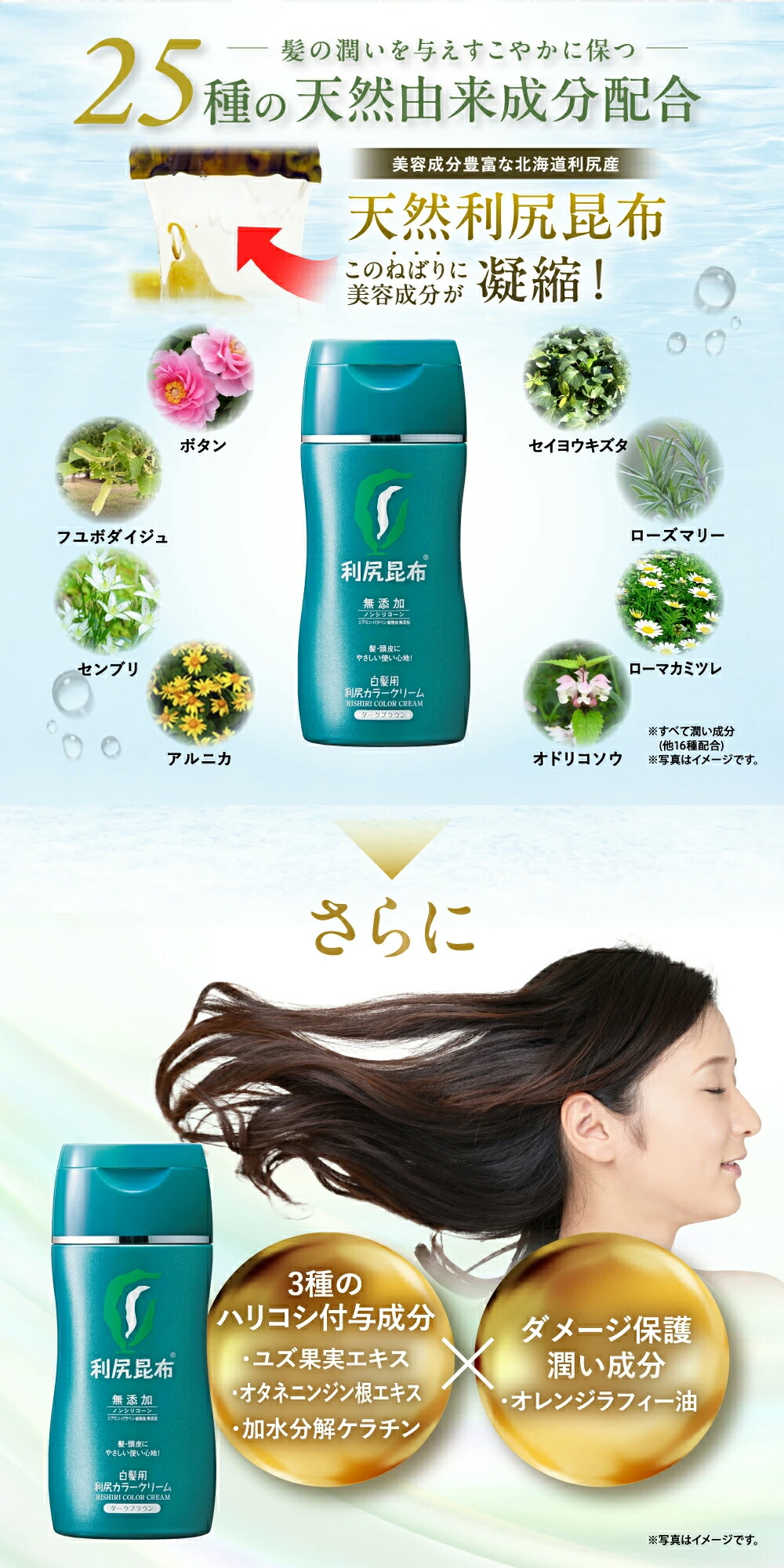 楽天市場】【3/3 20:00〜10%OFF】白髪用 利尻カラークリーム 170g×2本