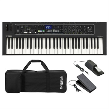 YAMAHA ヤマハ CK61+専用ソフトケースセット 61鍵盤 ｜イケベ楽器店