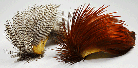 ホフマン・ハックル