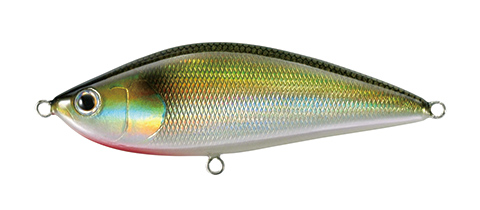 TACKLEHOUSE:SALTY SHAD