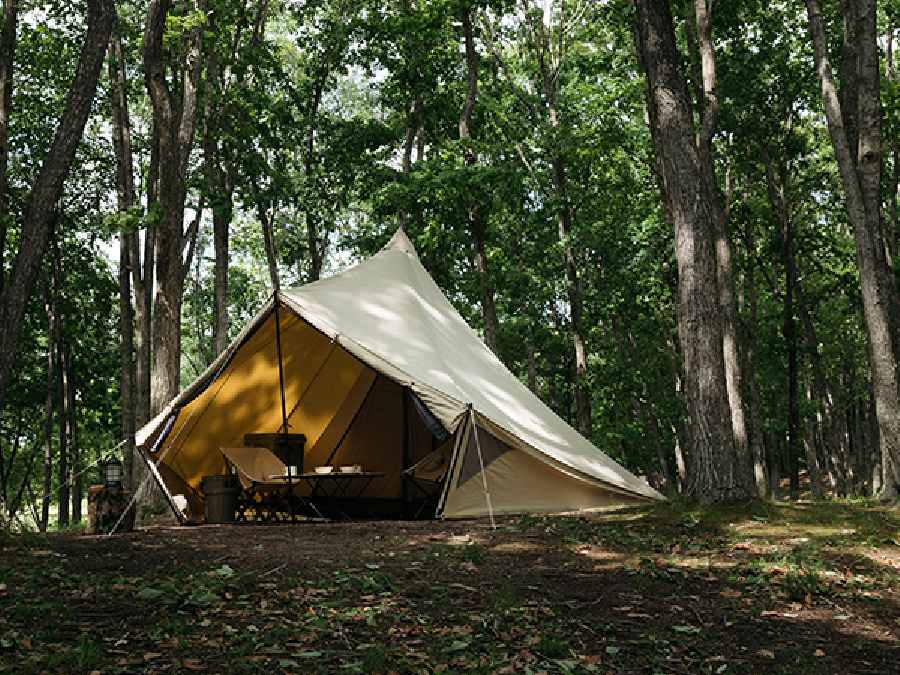 SABBATICAL（サバティカル）】モーニンググローリーTCは見た目・機能