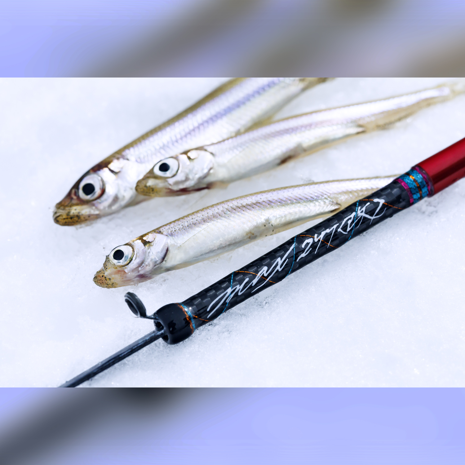 ワカサギ穂先 MAX299＜改＞ | GRAPHITEWORKS | 株式会社バリバス