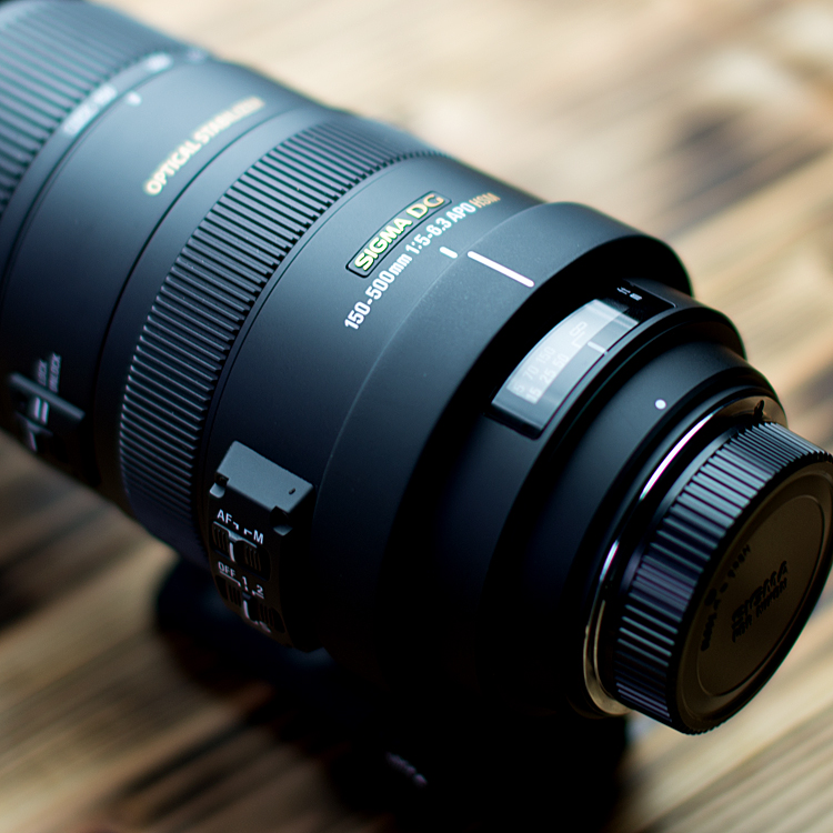 SIGMAレンズ：「D5300」@Nikon 対応案件 – 美味かもん雑記帳