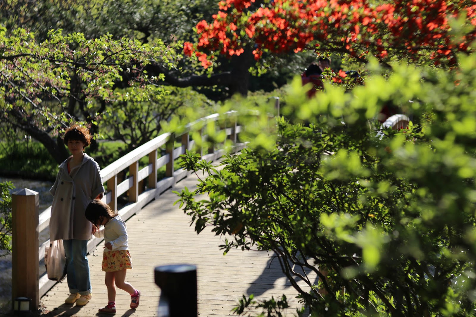 M42 MOUNT SPIRAL: Meyer Optik Trioplan（トリオプラン） 100mm F2.8