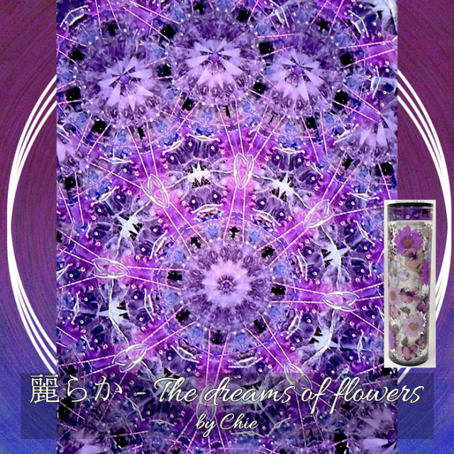 Chie「麗らか -The dreams of flowers」（パープル）(CE6009)3ミラー