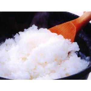 及源鋳造 ごはん鍋 南部ごはん釜 2合炊き 南部鉄器 及源 F-450 日本製