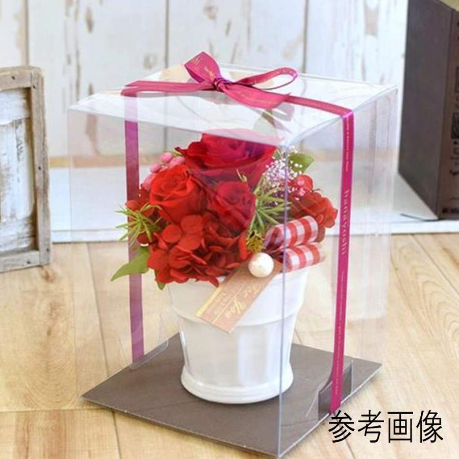 クリアケース LLサイズ 台紙付き 1個 20cm×20cm×高さ30cm 丈夫な0.4mm