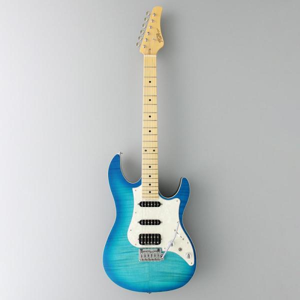 FUJIGEN（フジゲン） FgN(FUJIGEN) J-Standard ODYSSEY Series JOS2-FM