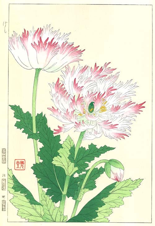 木版画のことなら『木版画 版元 芸艸堂 Woodblock print』