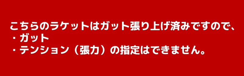 ソフトテニス 初心者向けセット ソフトテニス ラケット ヨネックス
