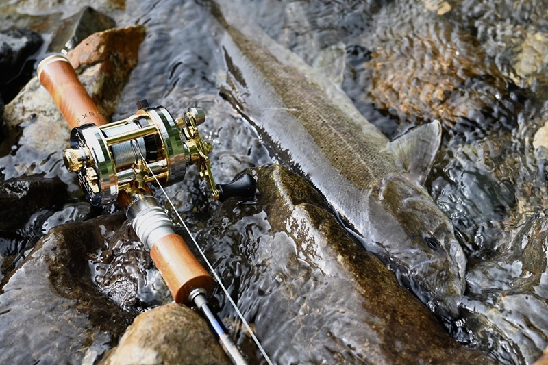 マークスパイダー/page/2｜ニュース（総合ブログ） ｜Casket カスケット