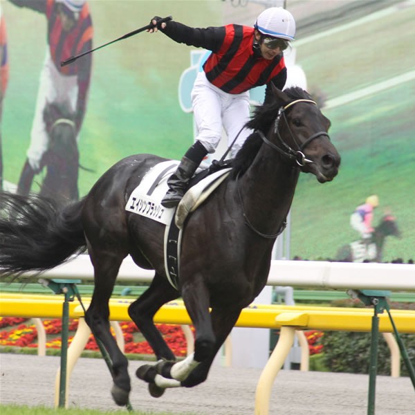 輝ラリ末脚エイシンフラッシュ！“史上最高”ダービー制す - スポーツナビ