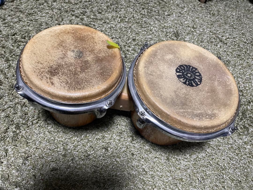 タブラボンゴ　パーカッション　打楽器　民族楽器 asa-chang アサチャン 富山で打楽器の体験イベント 元「スカパラ」ASA-CHANGさんがレクチャー