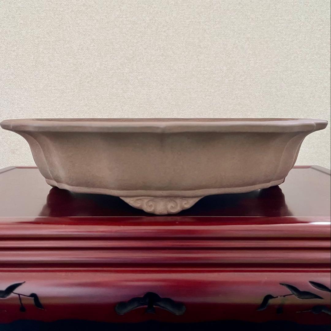 盆栽鉢 植木鉢 輪花鉢 佳山 盆栽鉢 紫泥外縁胴紐楕円鉢 植木鉢 中国鉢 張氏製陶 落款あり 15号